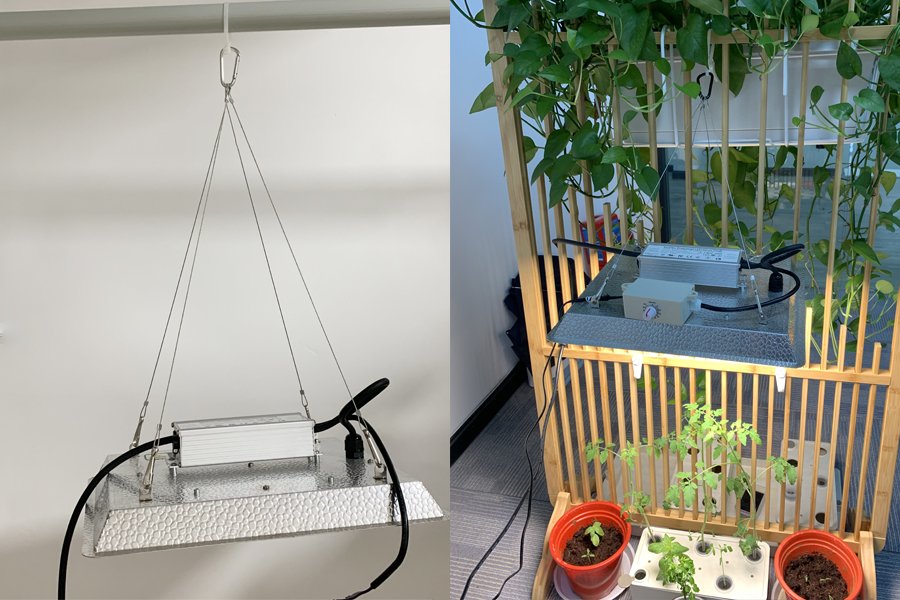 подвесные небольшие светильники для выращивания растений