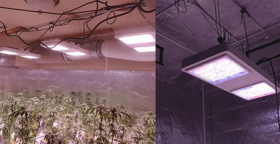 LED植物育成ライト
