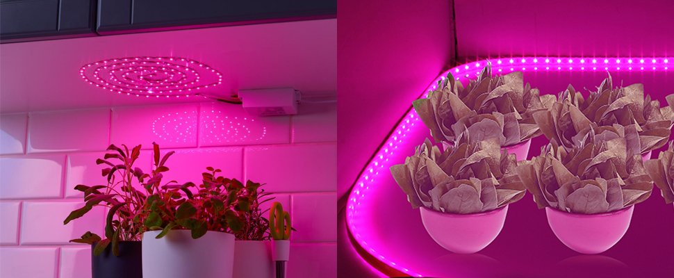 do LED strip lights help plants grow