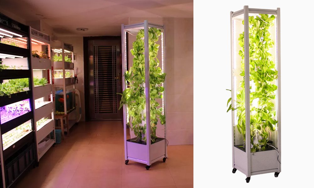 Hydroponic Tower Garden with Lights