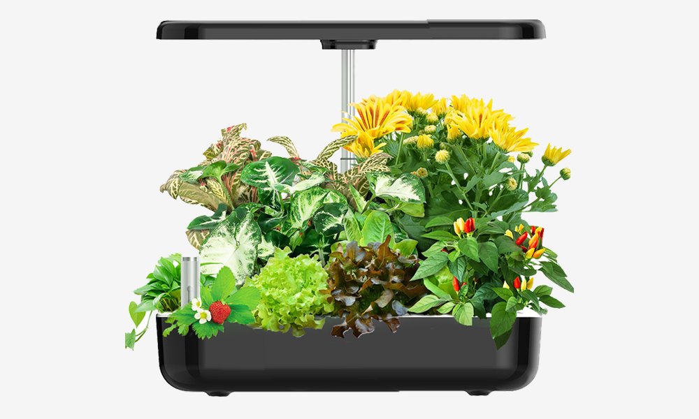 Indoor Home Hydroponic Garden