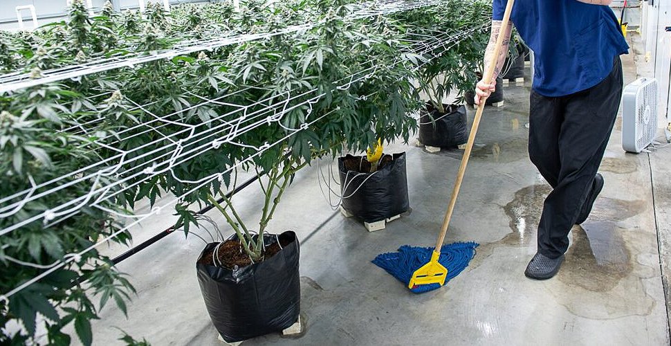 grow room cleaning checklist