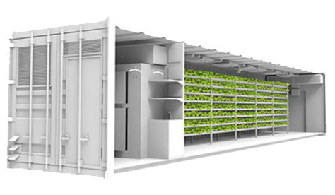 vertical farming hydroponic container farm - Auxgrow - Auxgrow