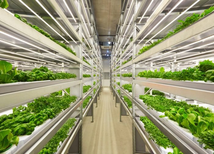 Hydroponic Systems for Sale