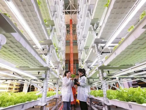 commercial vertical growing systems