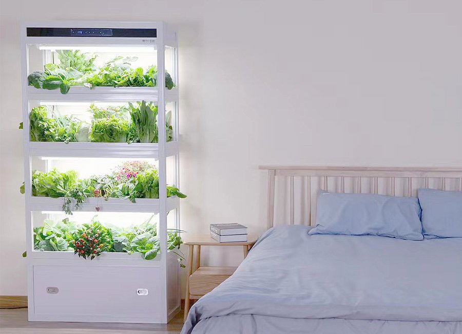 home hydroponic system