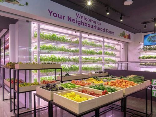 in-store vertical farm