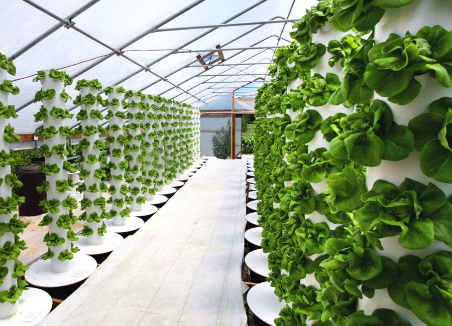 torn hydroponics system