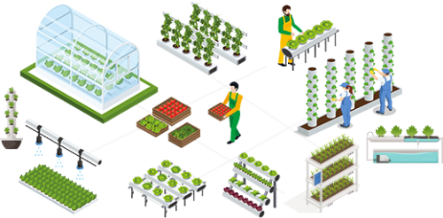 Fodder Project Hydroponic Fodder System - Auxgrow