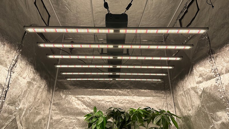 LED植物育成ライト工場