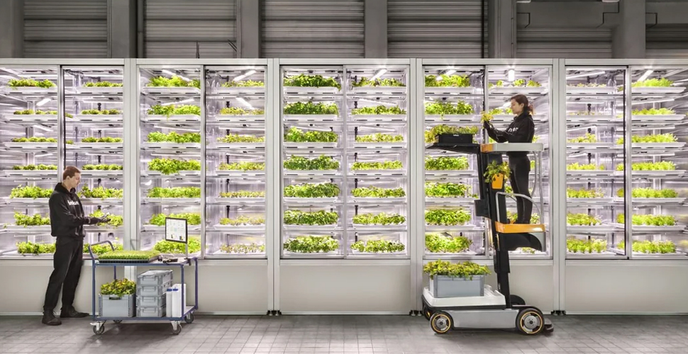 What Is A Plant Factory What Is A Plant Factory