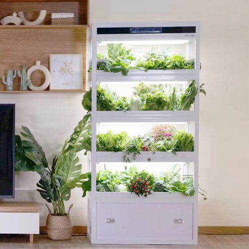 home hydroponic vegetable garden