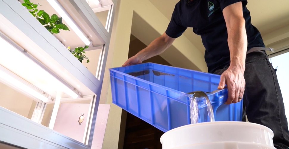 how to clean hydroponic system