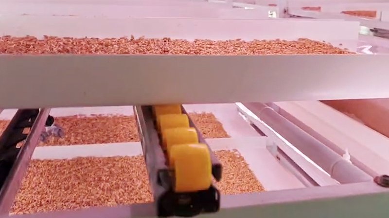 hydroponics fodder production system