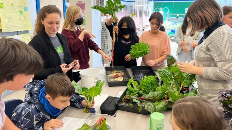 Classroom Hydroponics System