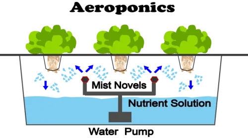 Aeroponics
