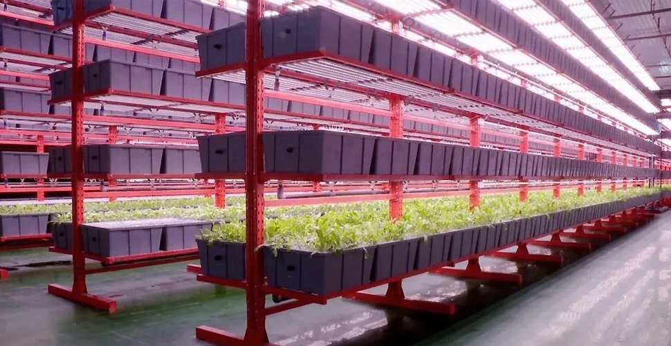Pouzdro pro hydroponické pěstování krmiv