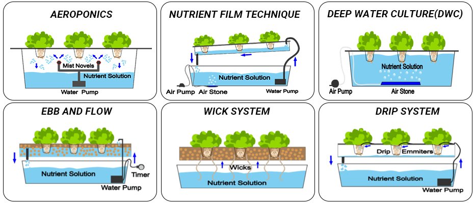 Types of Hydroponic Systems