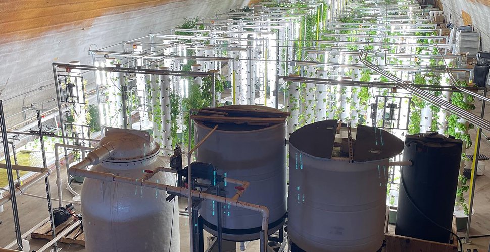 aquaponic tower system
