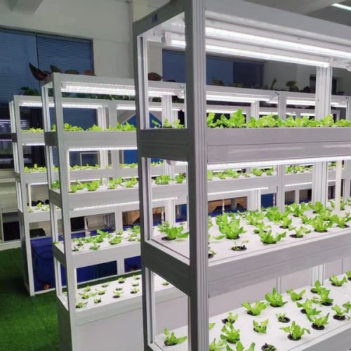 hydroponic for retail store