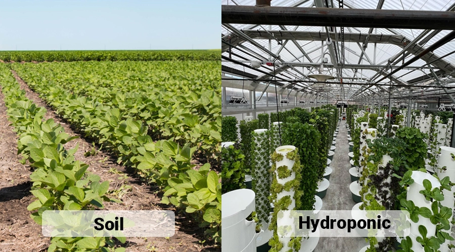 Traditionelt landbrug og hydroponics