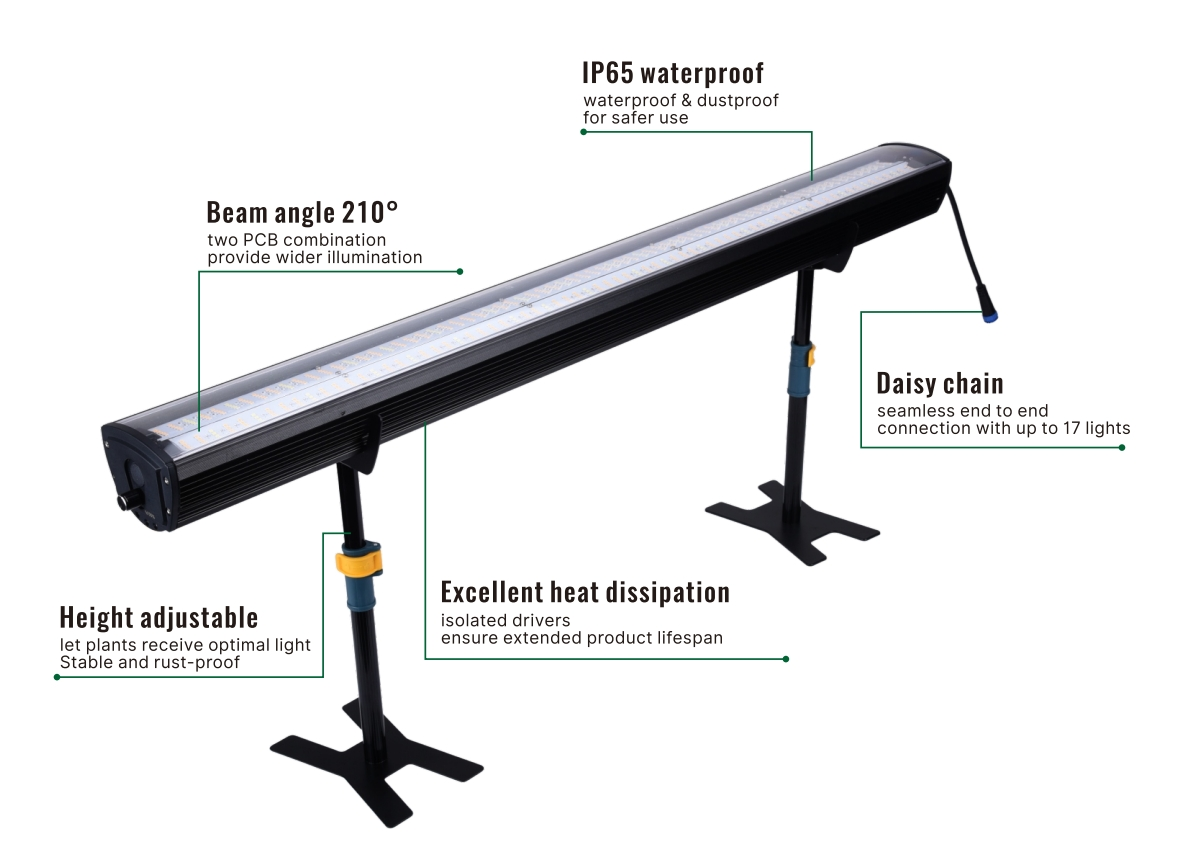 details of undercanopy lights