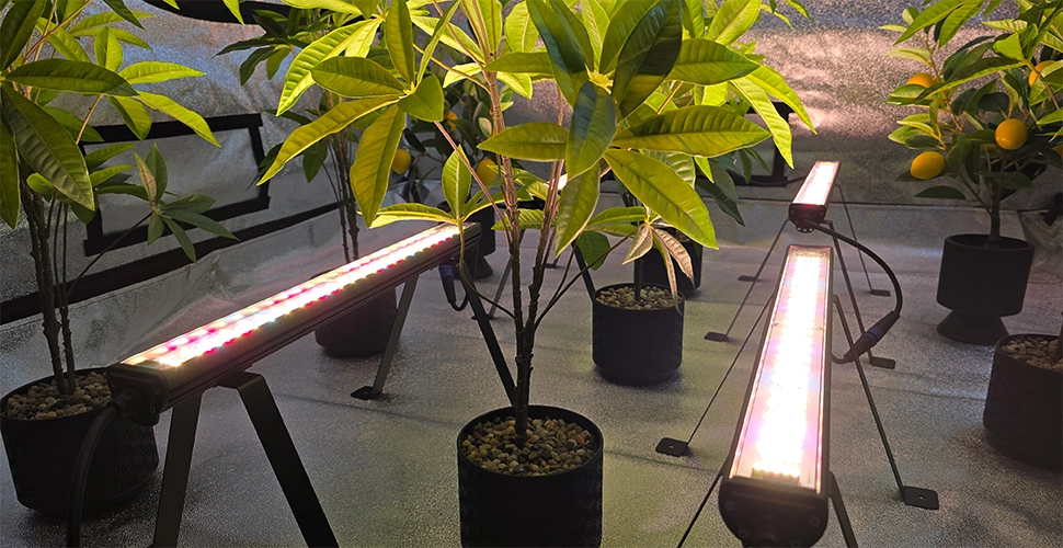 Weed Undercanopy Lampe