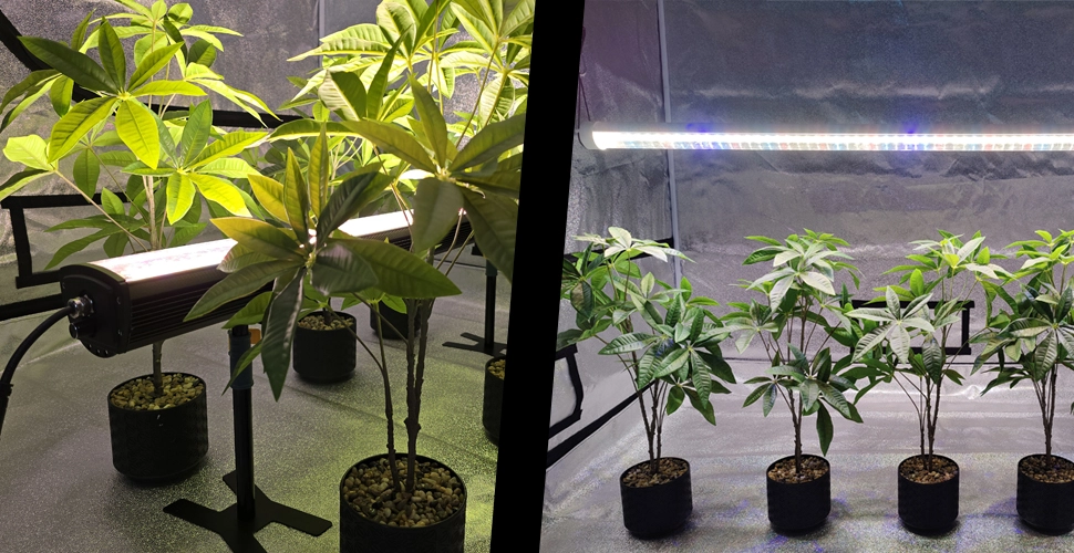 wholesale indoor supplemental lighting