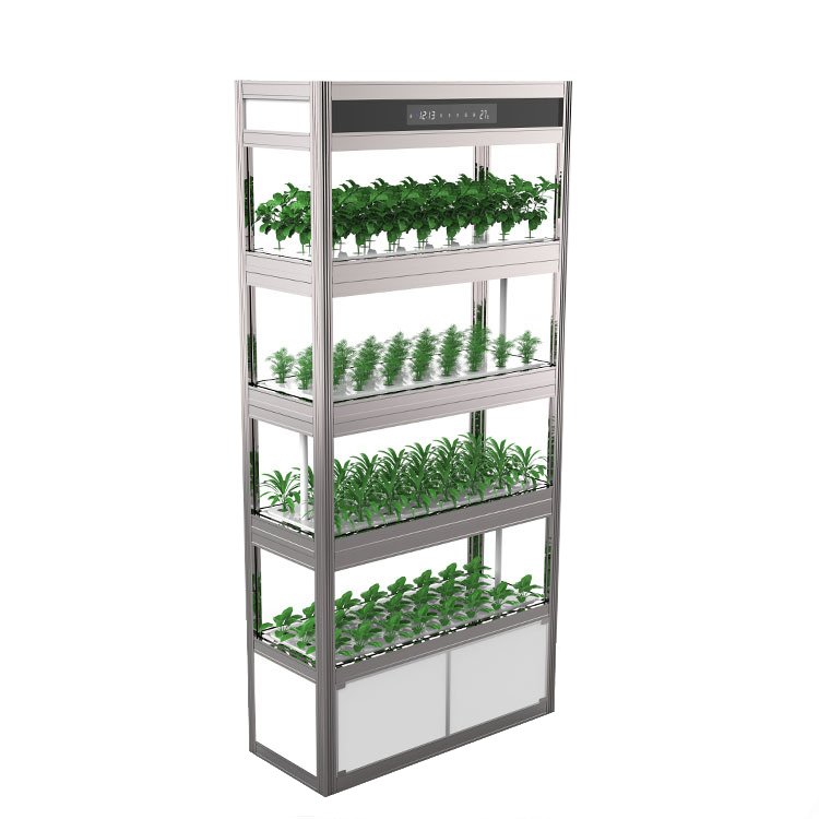 SG40 hydroponic grow system