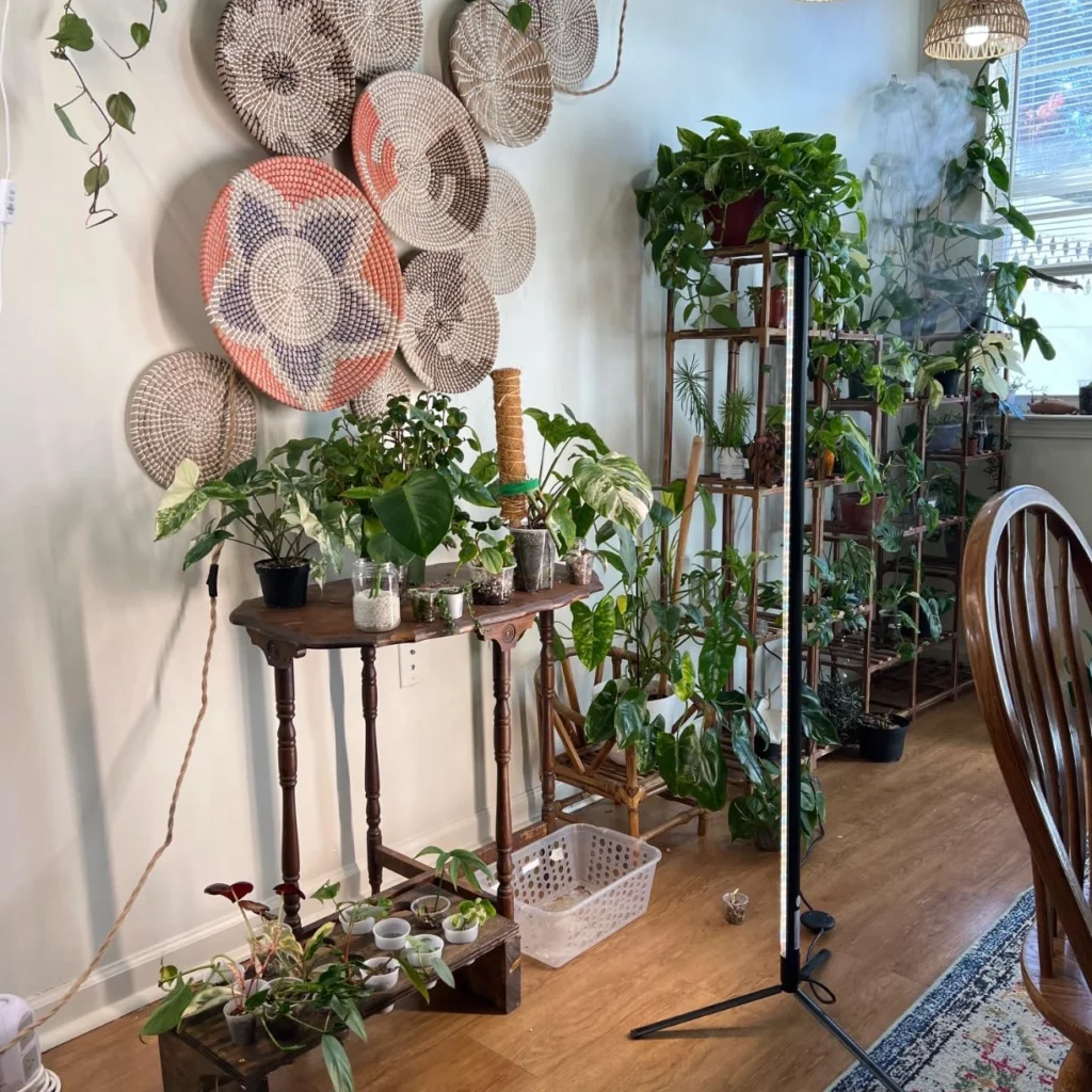 led side lighting for plants