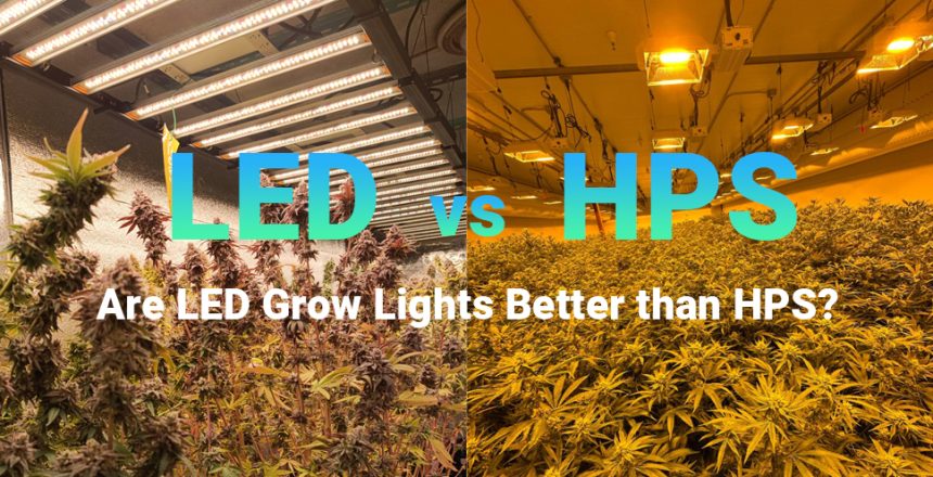 Are LED Grow Lights Better than HPS