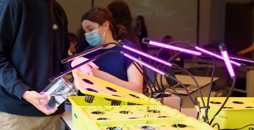 How to Use Clip On Grow Lights