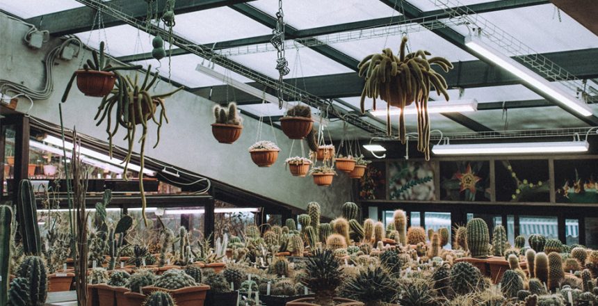 Is a regular lamp better