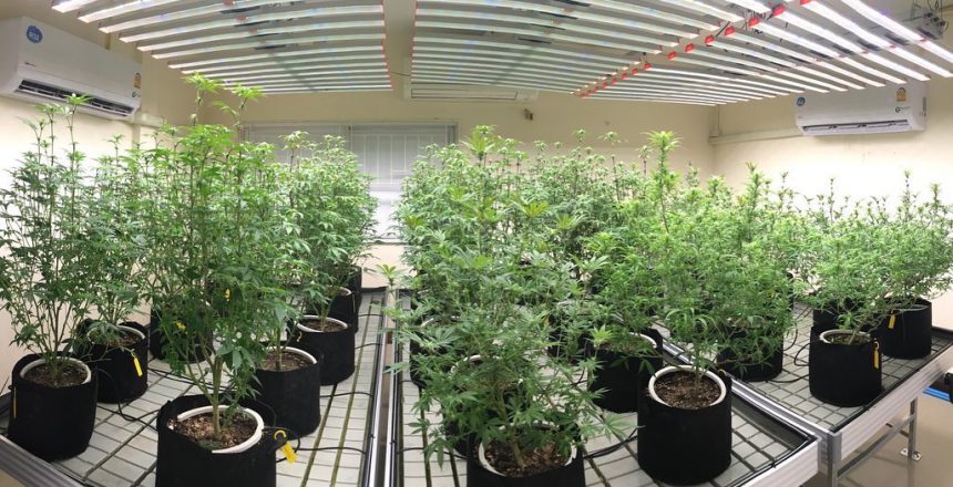 do grow lights get hot