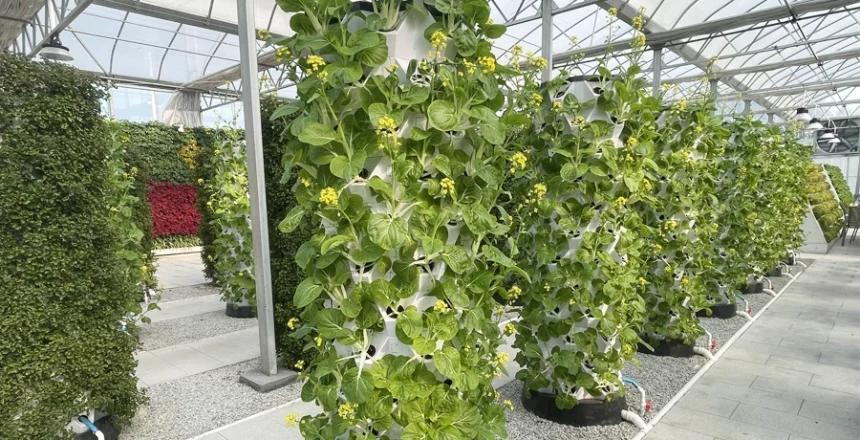 grow in a hydroponic tower