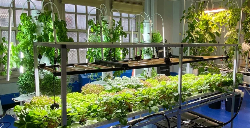 grow light tube for Urban farm