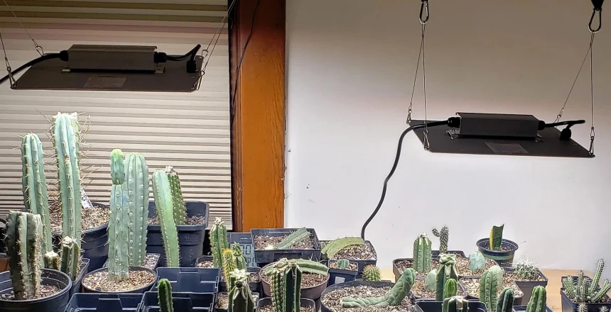 hanging plant grow lamp