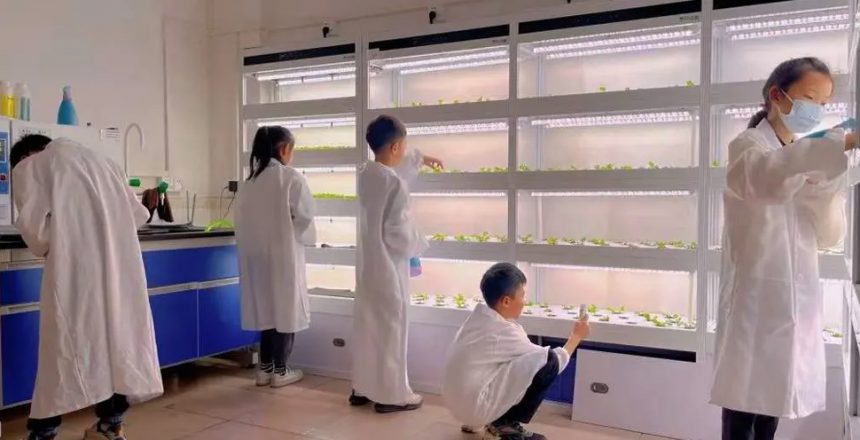 hydroponics education programs