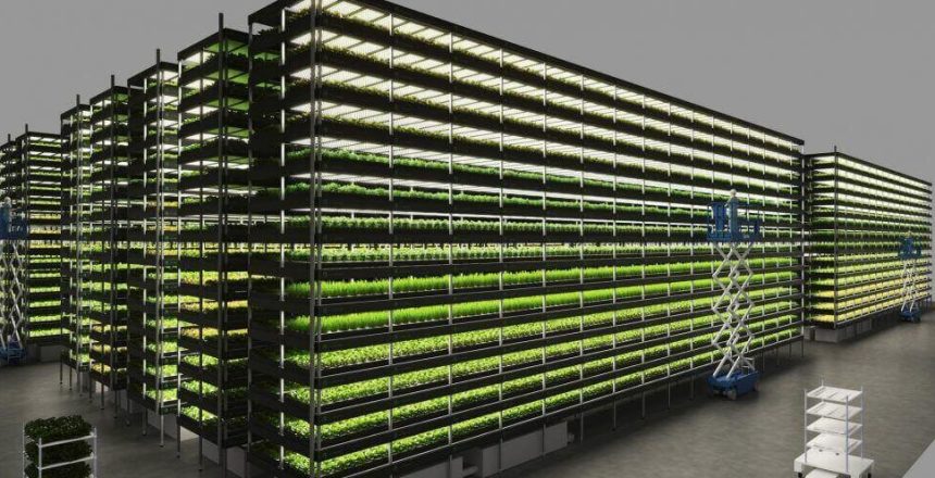 indoor urban farming