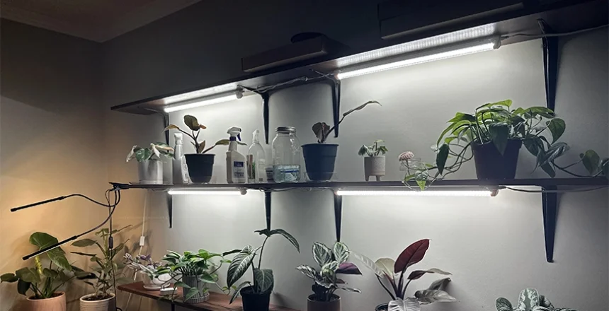 t8 shop lights for plants