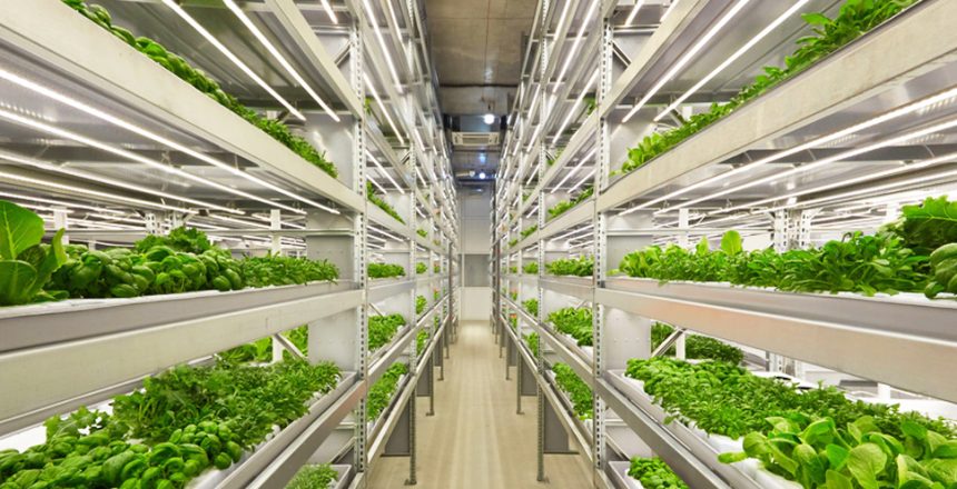 used IoT in Agriculture