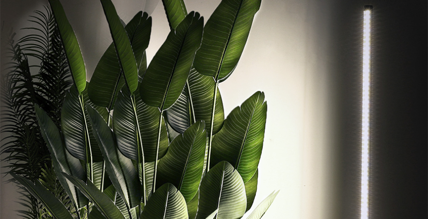 vertical grow light for houseplants