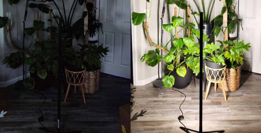 why you need side lighting